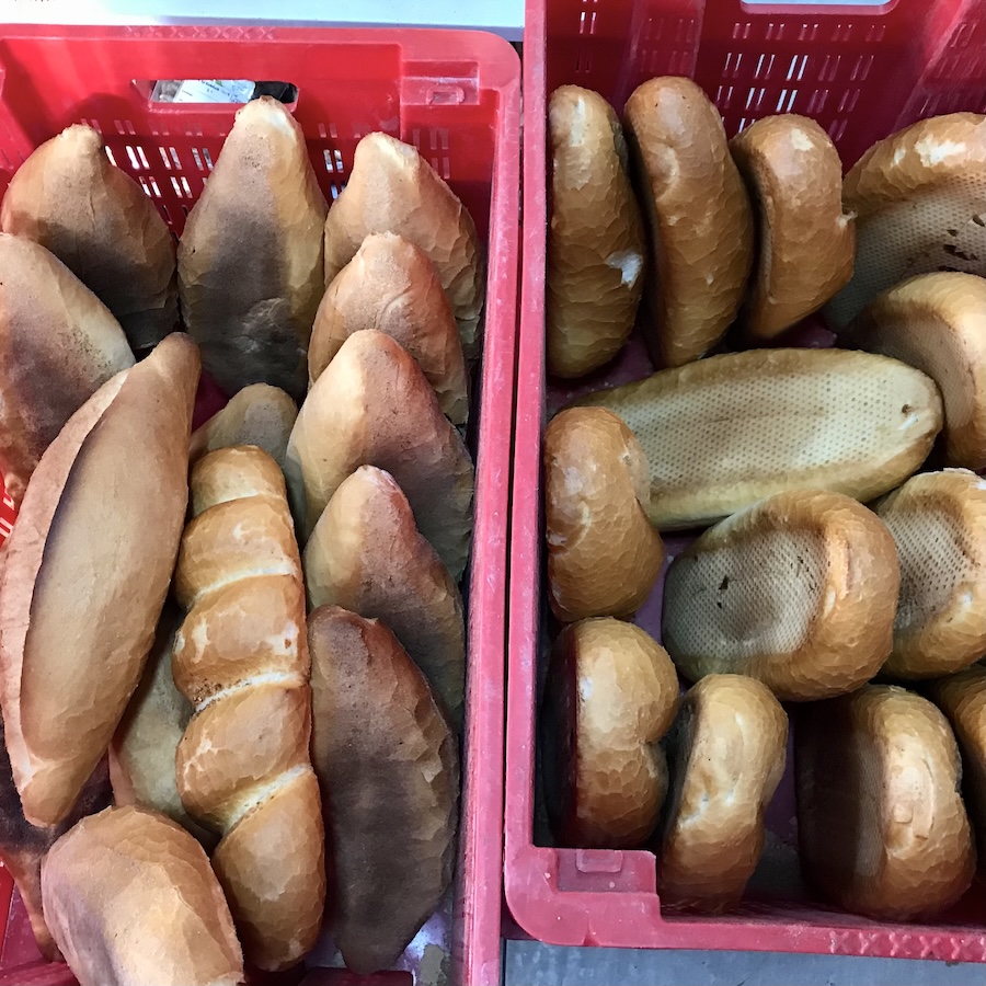 fresh baguettes