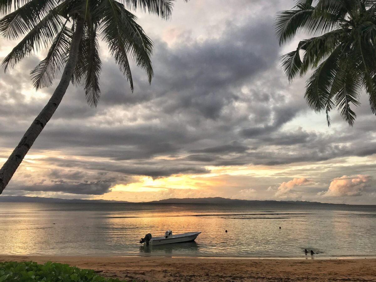 sunset on ocean with two palm trees and a small boat