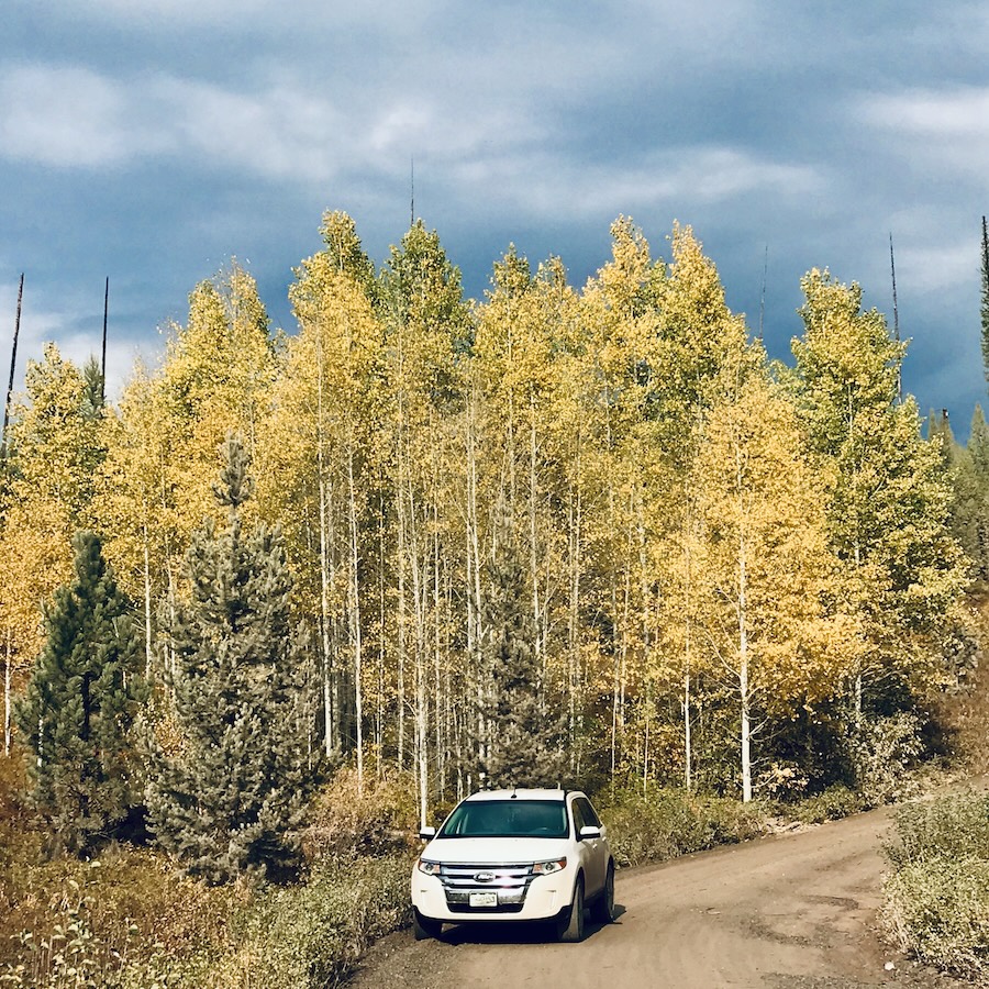 white suv parked in front of trees with yellow leaves