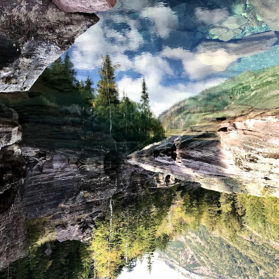 nature photo collage
