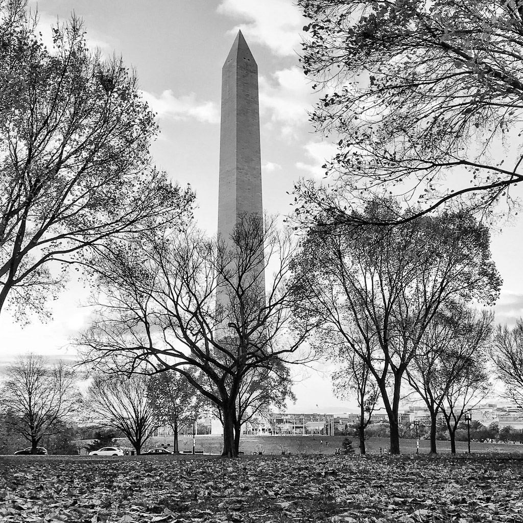 The Washington Monument seen through the trees on a fall day