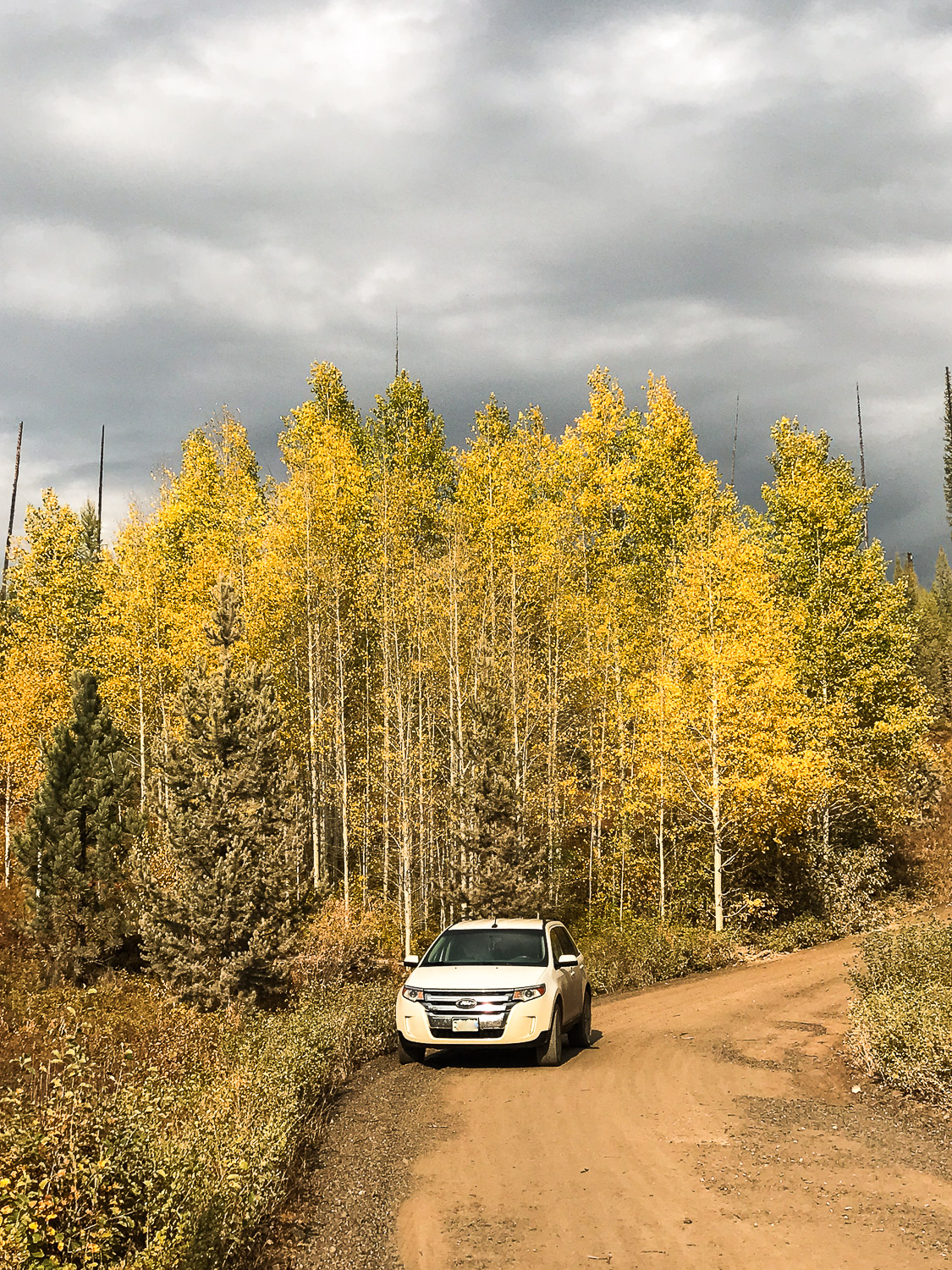 Glacier National Park fall colors