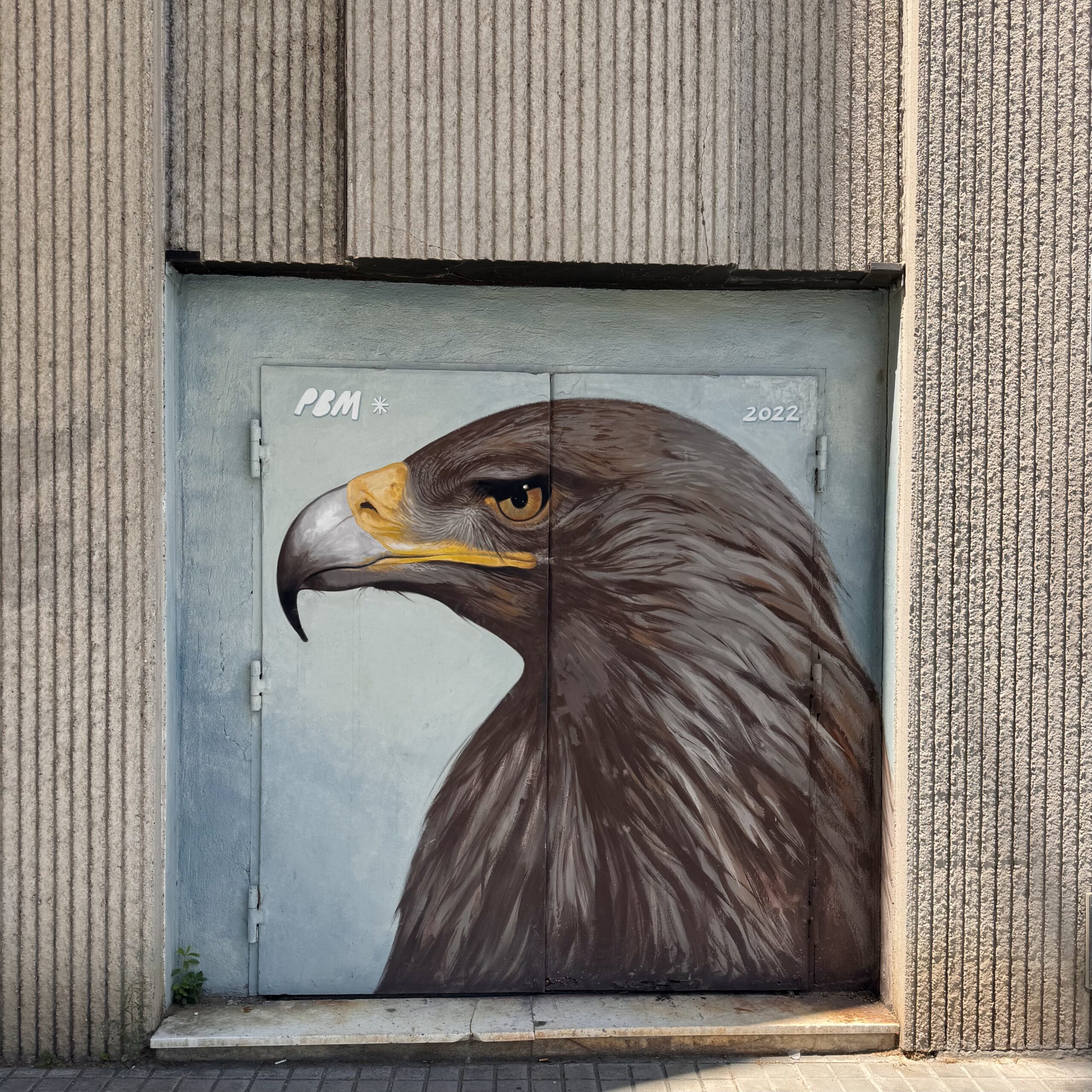 Realistic painting of a brown eagle head on a wall in Barcelona