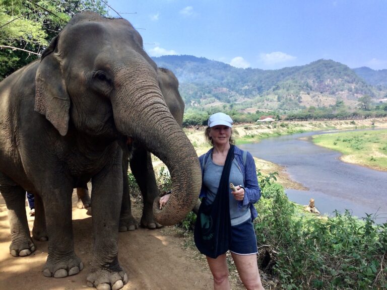 Elephants