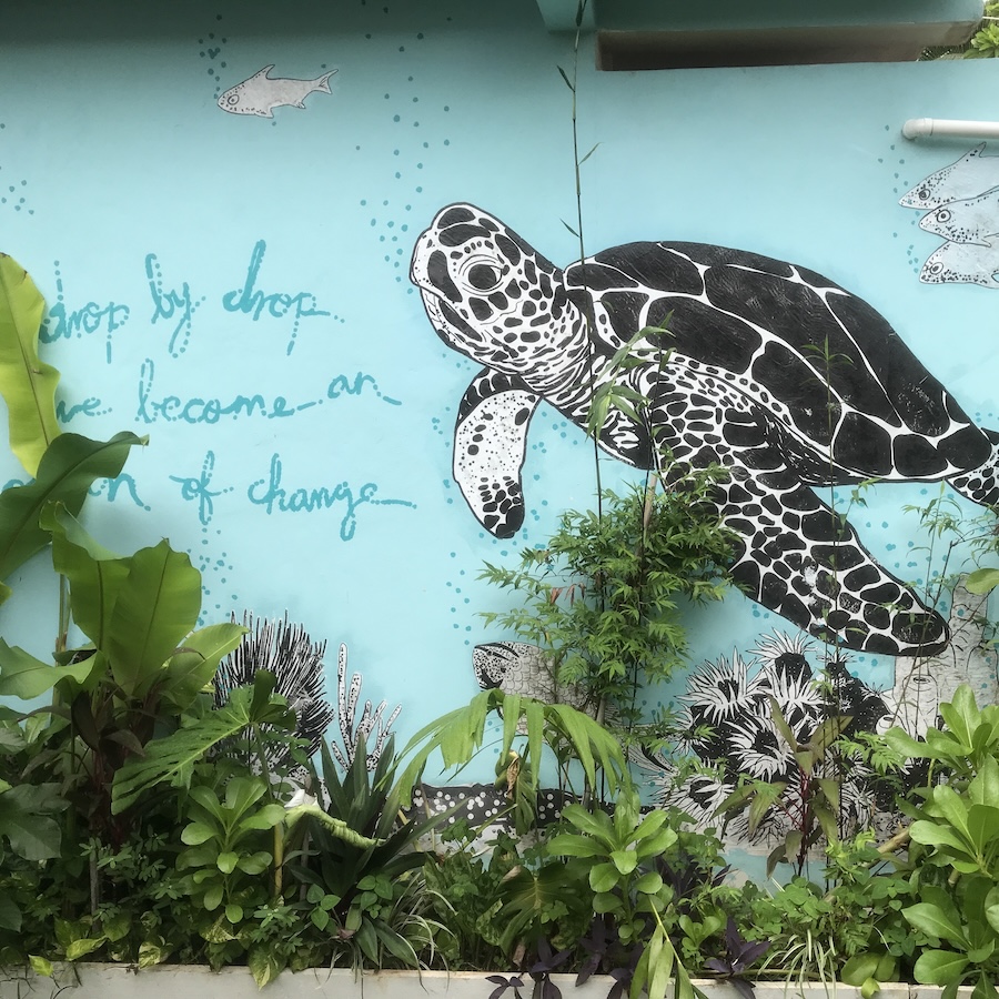sea turtle mural