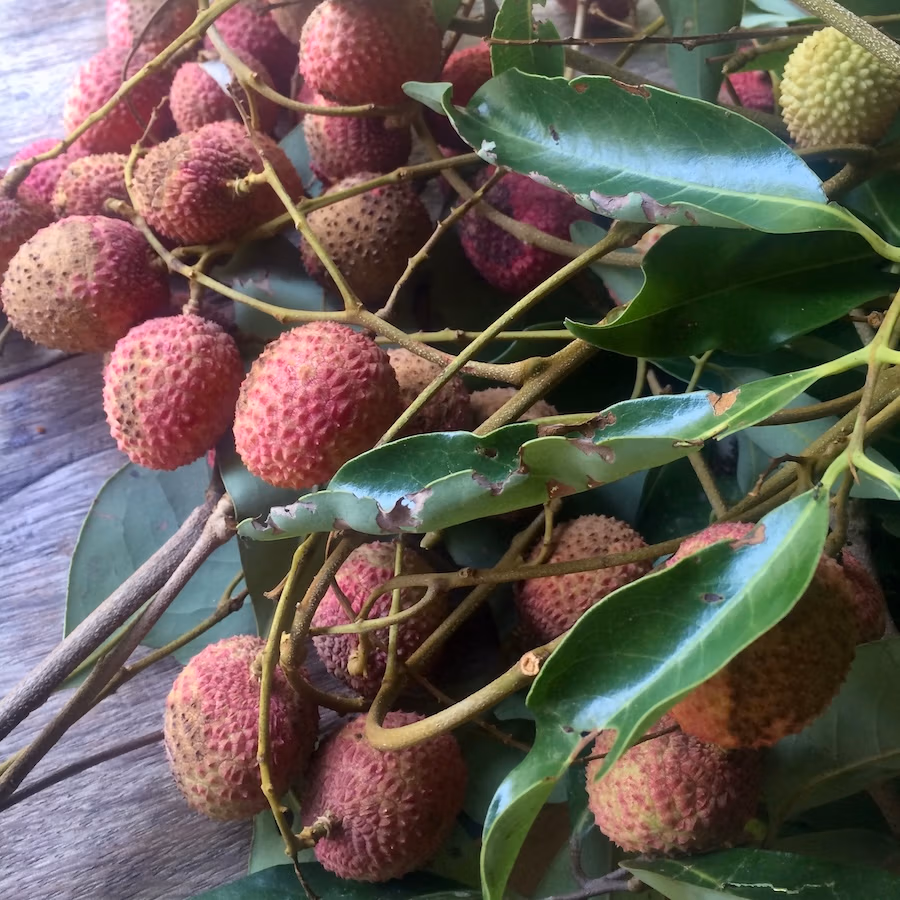 close up of fruit from Indonesia