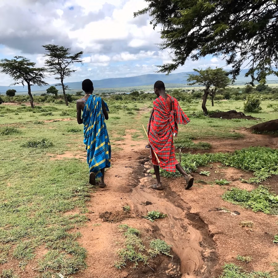 two maasai walking away down dirt path with trees