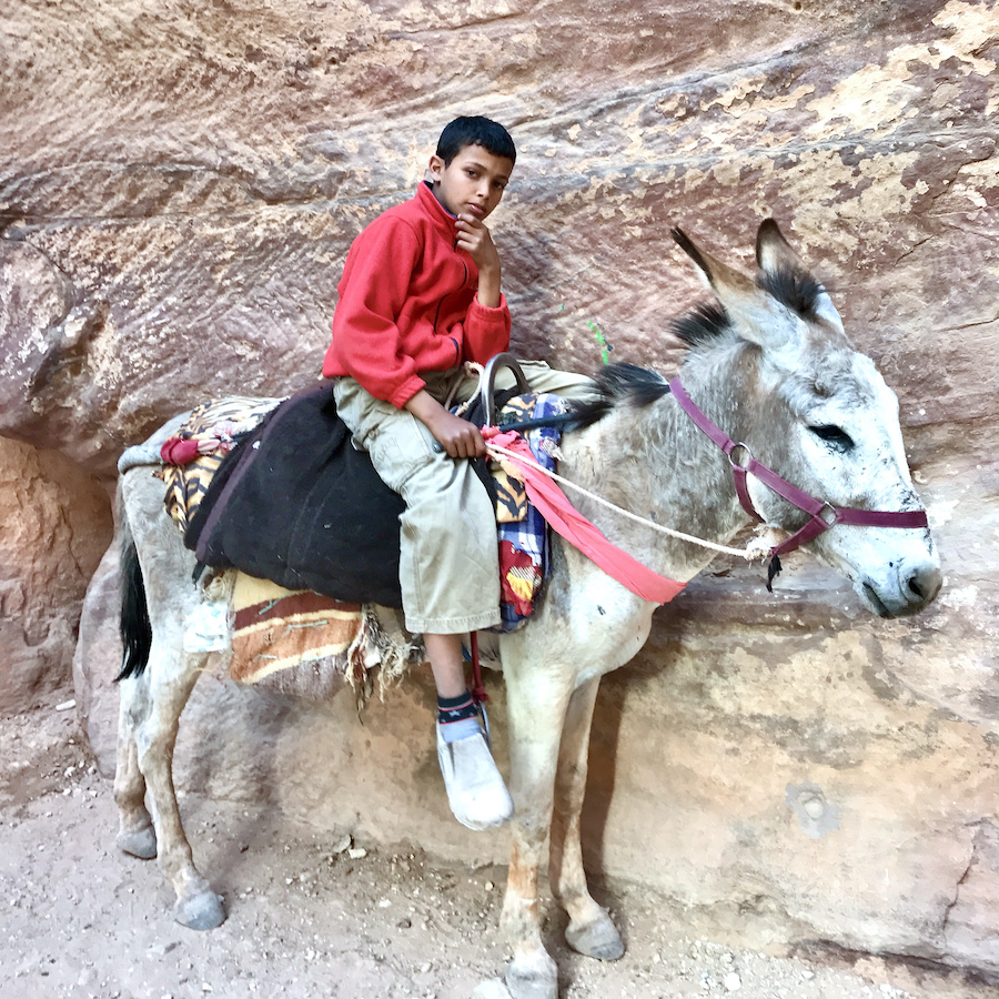 boy on his donkey