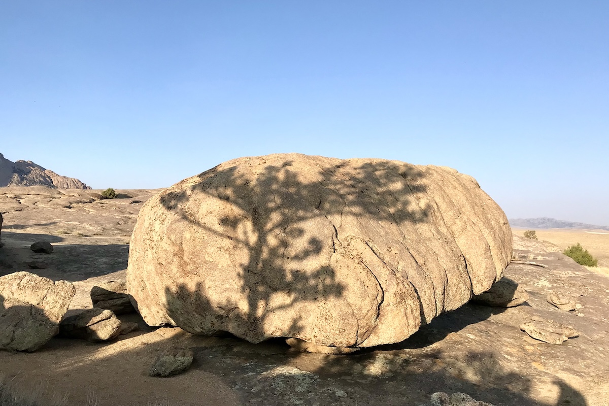 Shadow of tree on rock