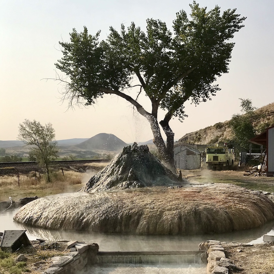 Hot spring mineral formations and tree