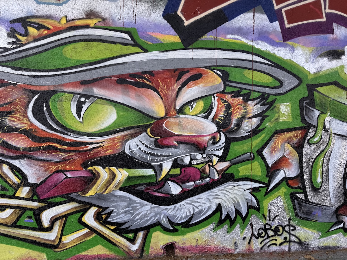 Tiger graffiti on a wall in Barcelona