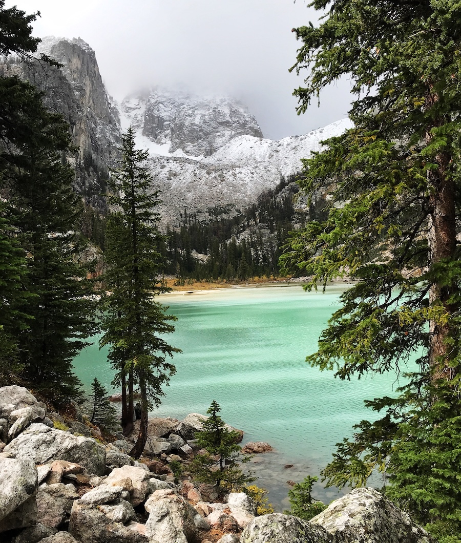 View through the pines of the lightest aqua green water inside the lake
