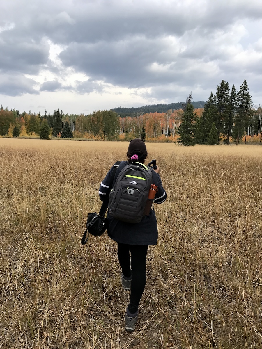Woman with backpack, camera and bear spray walks away into field