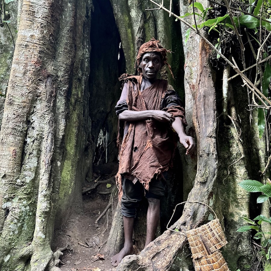 Man standing inside large tree