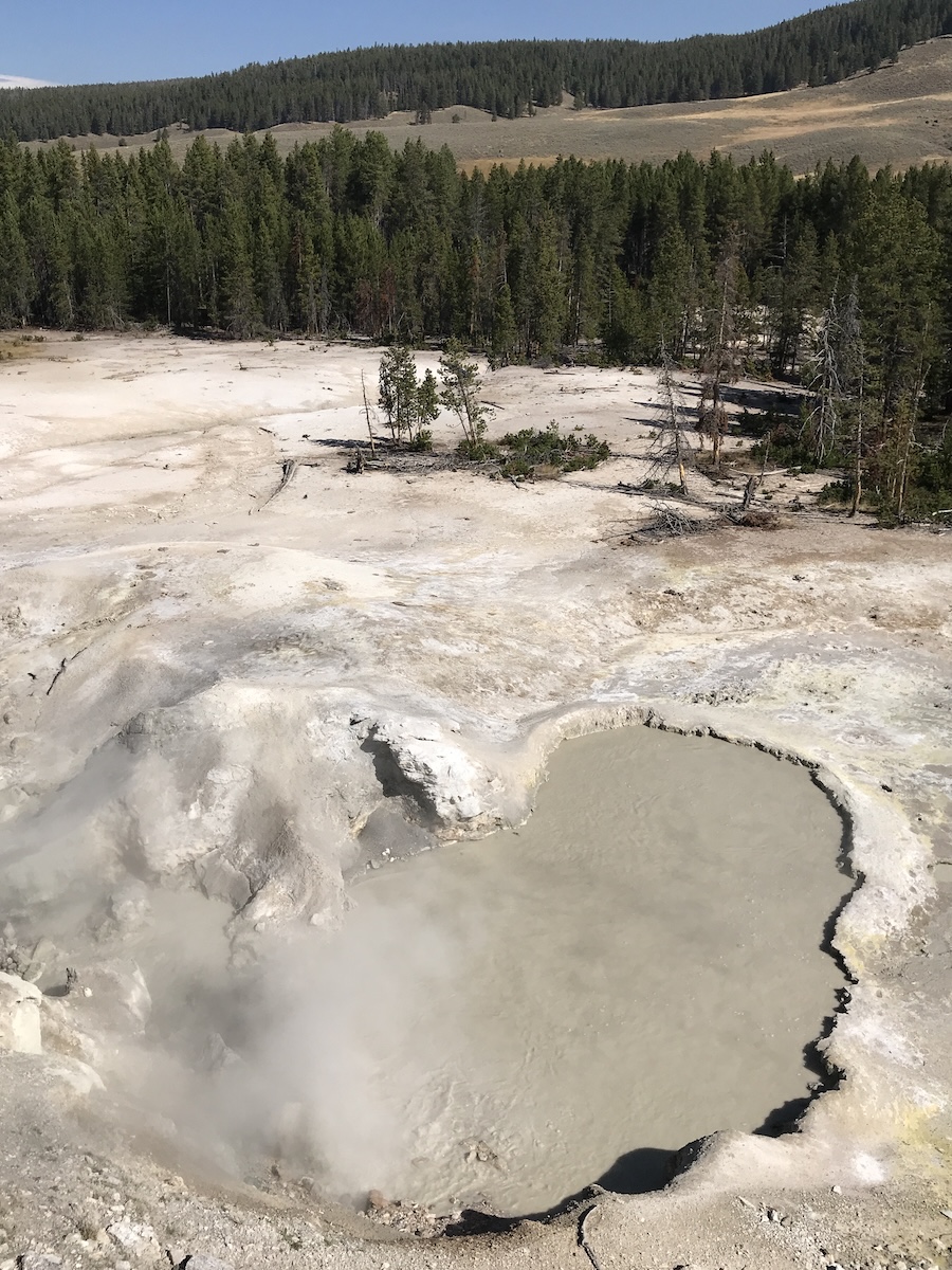 Bubbling murky mineral pool