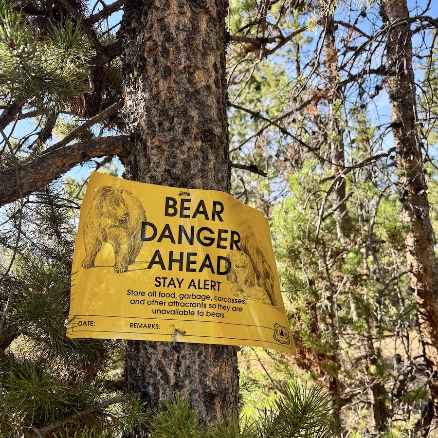 A sign reading BEAR DANGER AHEAD nailed to a tree