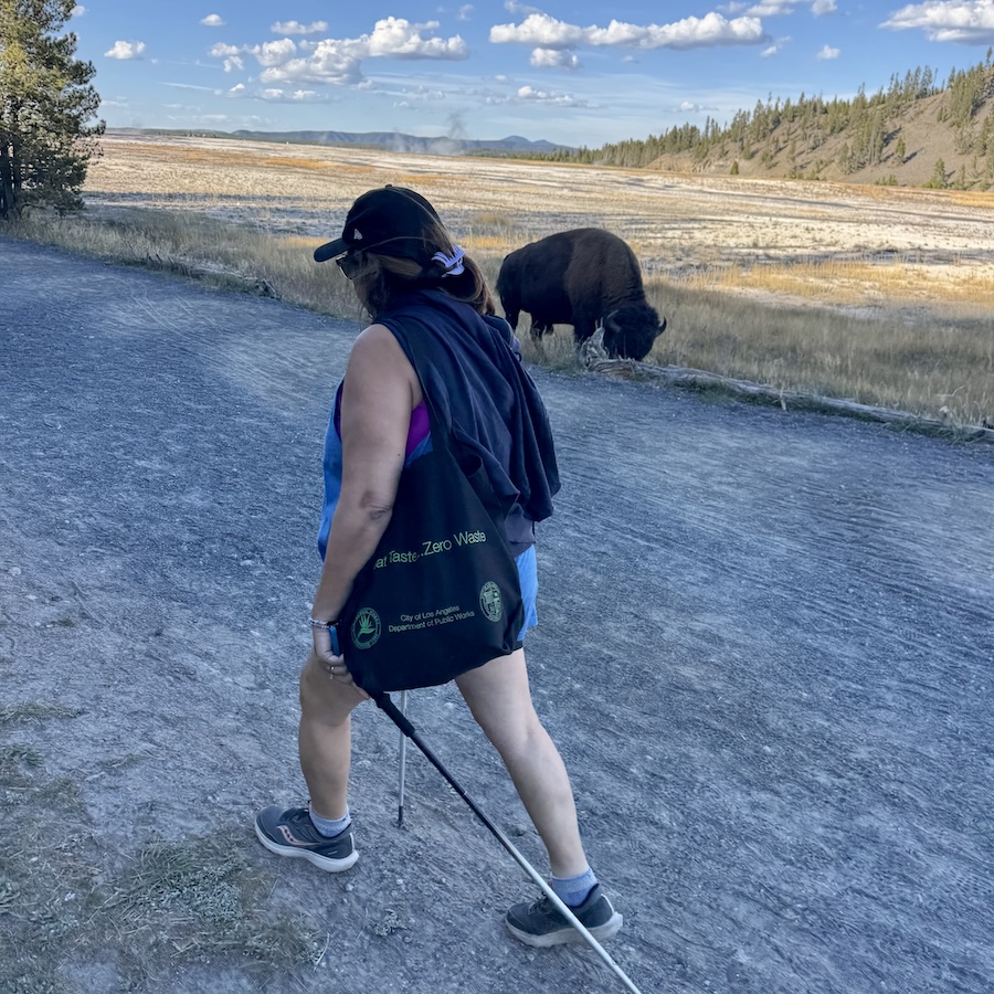 A hiker with poles walking by a bison