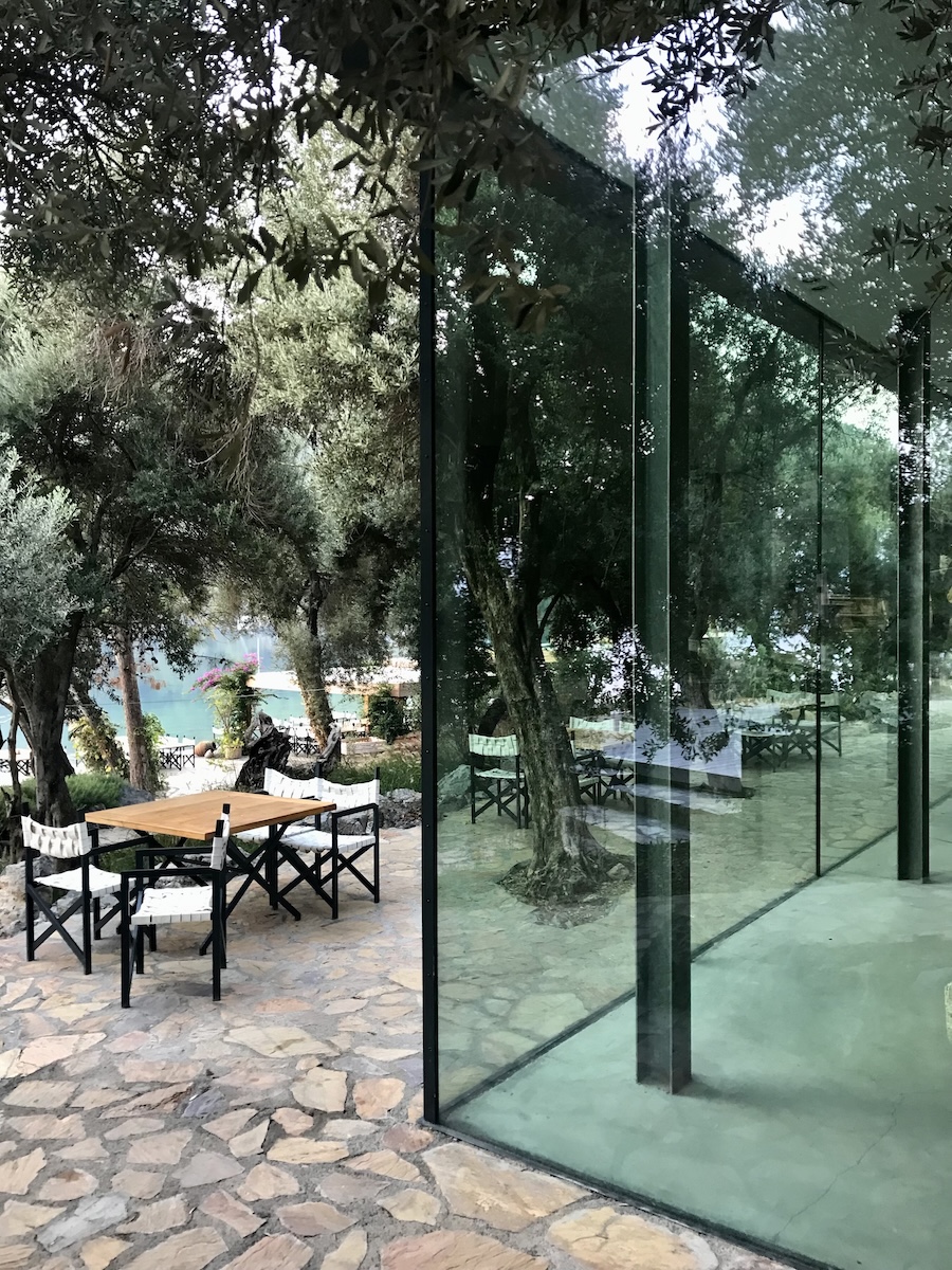 Dining tables with olive trees on one side and a glass enclosed library on the other
