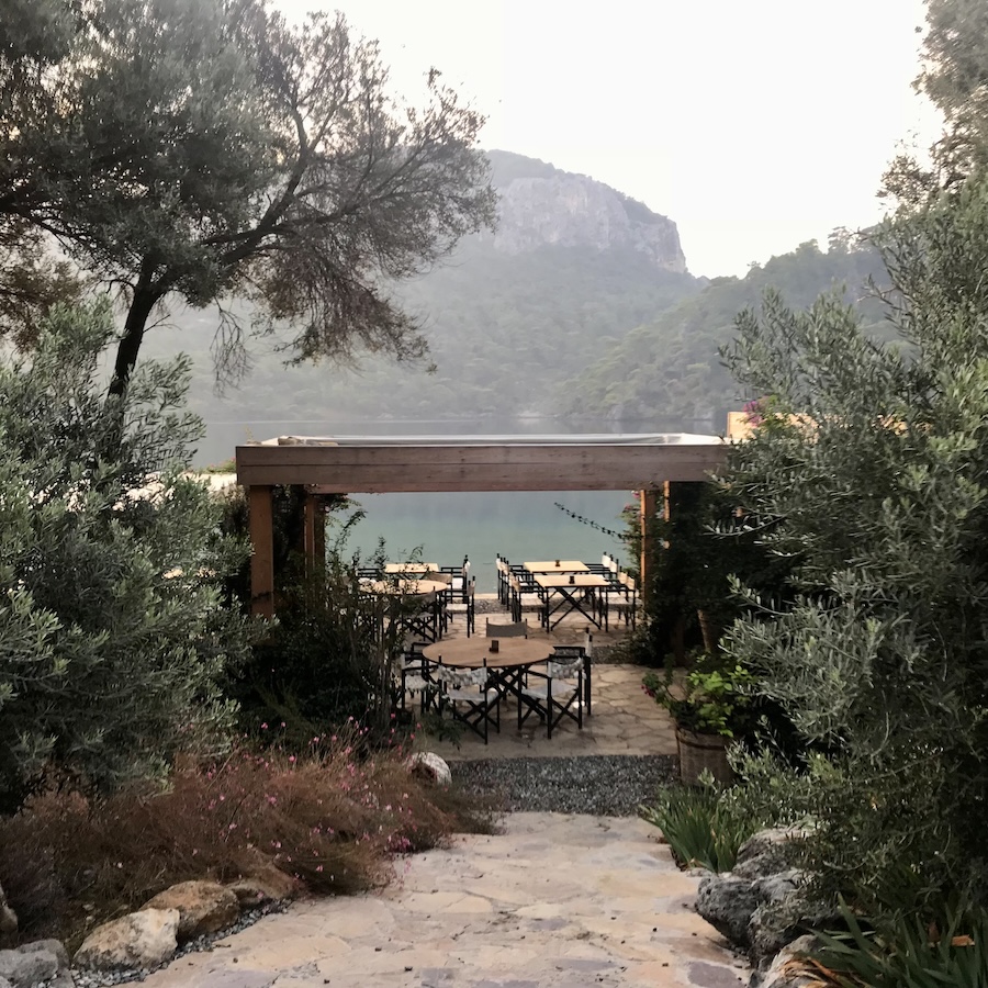 Dining area with tables and chairs beyond a dirt pathway in a rustic setting of olive trees and bushes next to the Mediterranean Sea