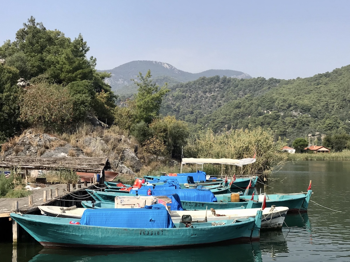 Local boats for fishing line the shore in Dalyan, Türkiye