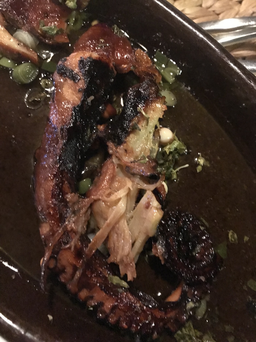 Grilled to perfection Octopus is a specialty of the Meditteranean