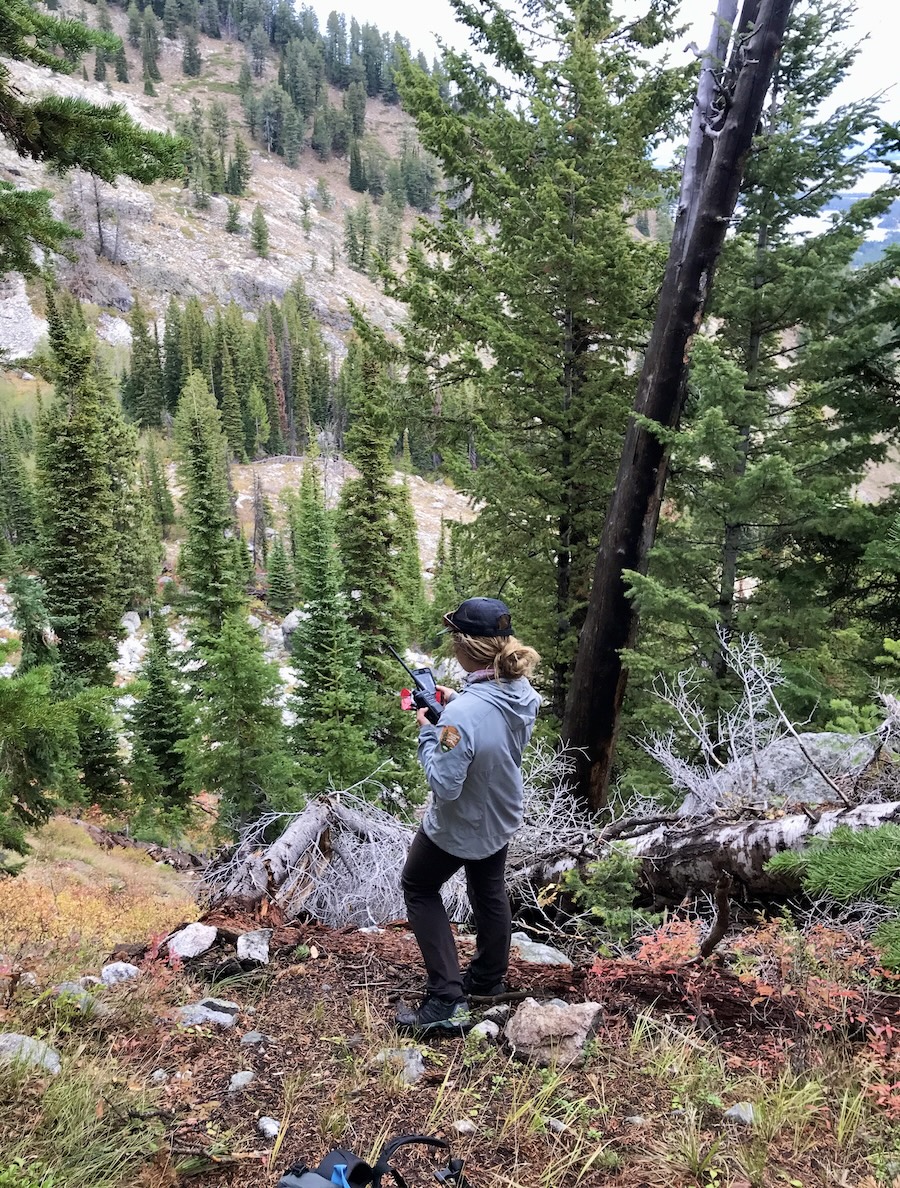 Park ranger looking at her gps after the rescue