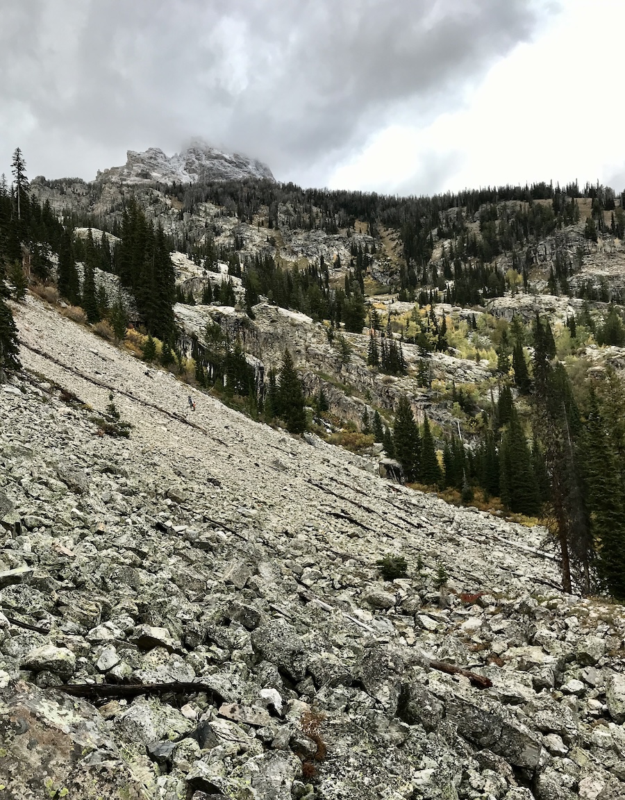 A mountain of scree