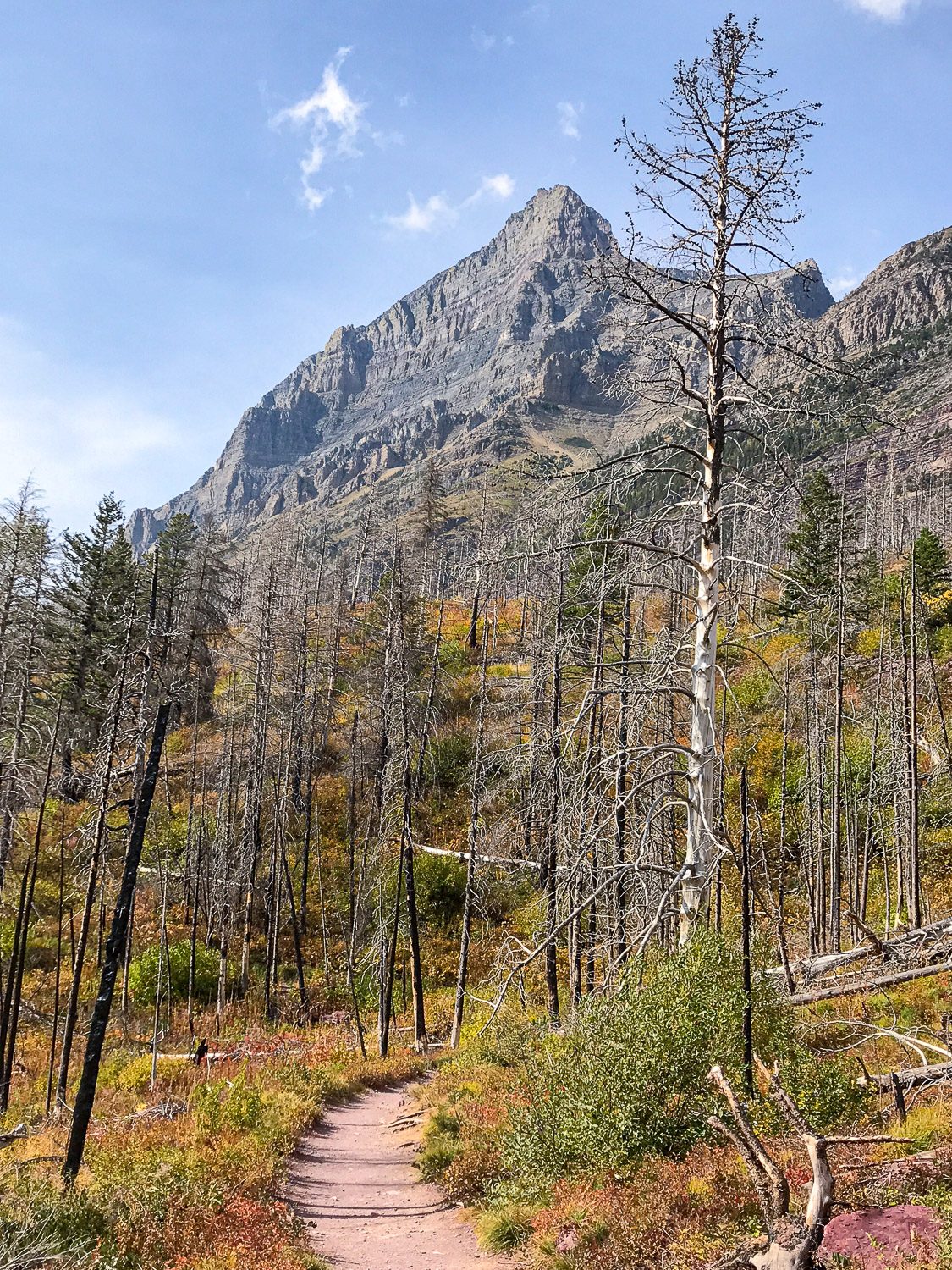 theworldlytravels-glacier national park-27