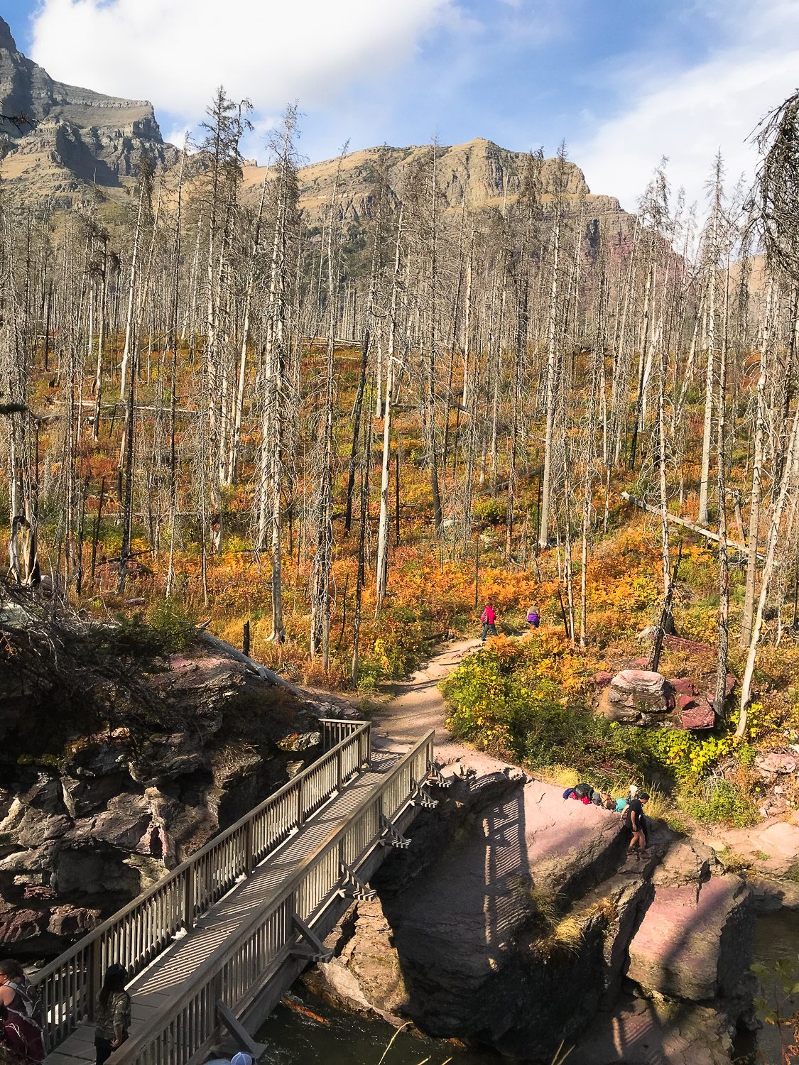 theworldlytravels-glacier national park-33