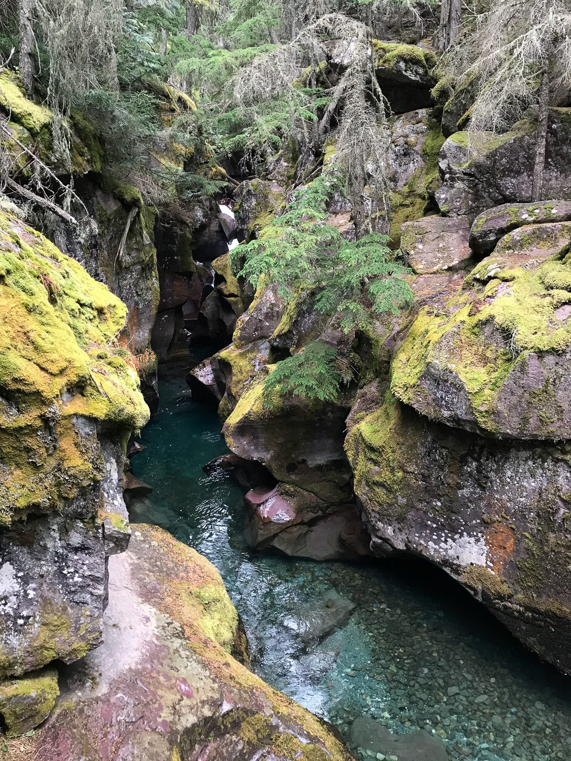 theworldlytravels-glacier national park-53